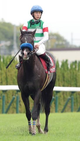 【京都大賞典】ドゥレッツァ早め進出も8着　横山武史騎手「手応えはありましたが最後は脚が止まって…」