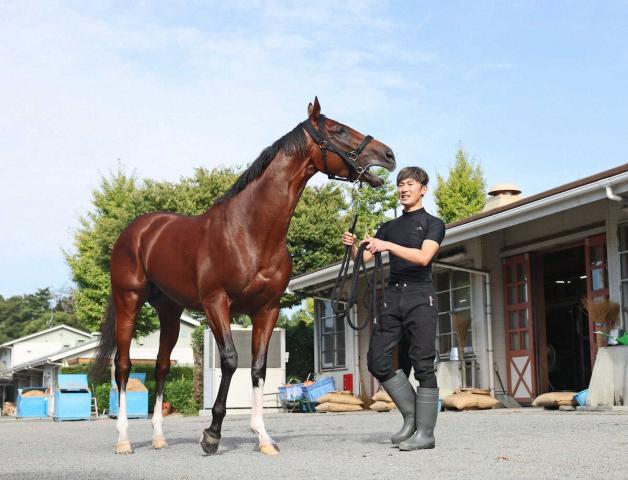 【スワンS　展望】昨年2歳マイル王アドマイヤズームが始動　NHKマイルC14着から巻き返しを図る
