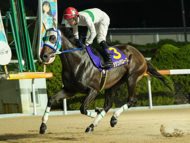 【佐賀・鳥栖大賞結果】兵庫のアラジンバローズが断然人気に応えて完勝