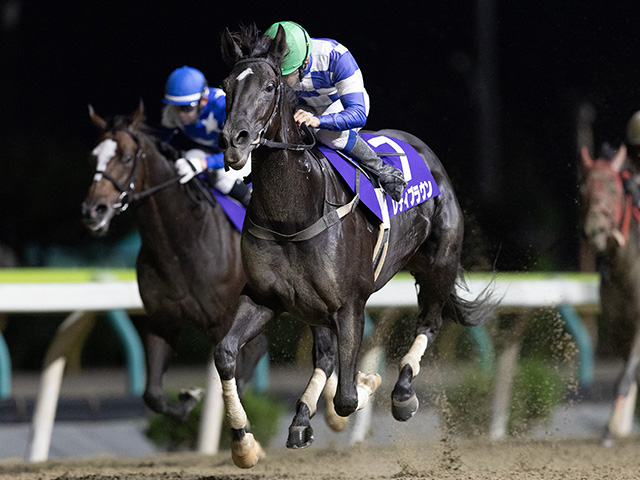 【水沢・ヴィーナススプリント結果】7歳馬レディブラウンが重賞初制覇