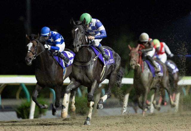 【水沢競馬　ヴィーナススプリント】レディブラウン重賞初V　鈴木祐「早めに仕掛けていきました」