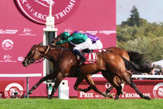 【凱旋門賞】福永祐一調教師が日本馬3頭の戦いを残念がる「馬場もあるしタフなチャレンジになってしまった」