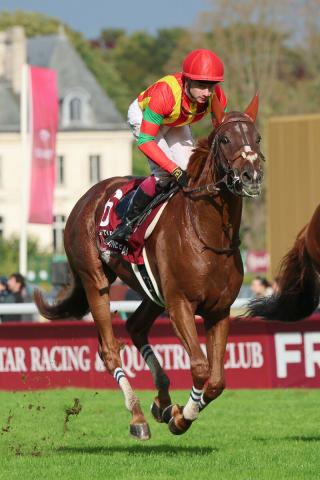 【凱旋門賞】内を伸びたビザンチンドリーム5着にマーフィー騎手賞賛「ヨーロッパではG1級の力がある」