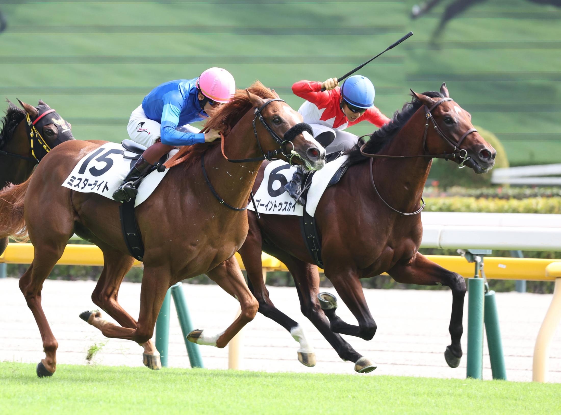 【新馬戦】ゴーイントゥスカイ　最内すくった　上原佑師「思った以上にきれた」末脚評価