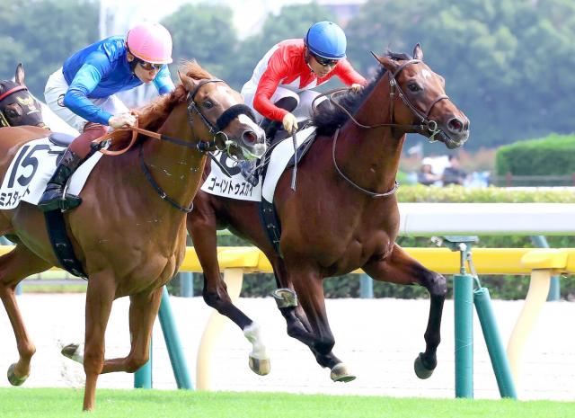 【東京5R・2歳新馬】コントレイル産駒ゴーイントゥスカイが初陣星!上原佑調教師「思った以上に切れました」