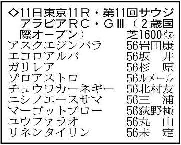 【サウジアラビアRC展望】末脚鋭いゾロアストロが重賞初Vへ視界良好　アスクエジンバラは好センスの持ち主