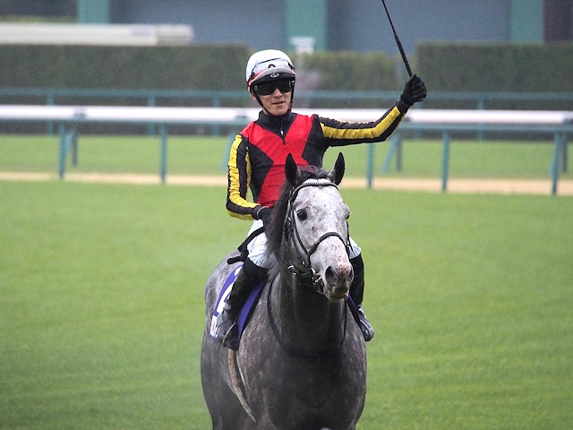 【先週のJRA抹消馬】昨年の高松宮記念覇者マッドクール、23年の紅梅S勝ち馬ダルエスサラームなど