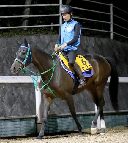 【アイルランドT】重賞2勝目狙うサフィラが月曜追いを敢行　池添調教師「重い馬場でもしっかり走れていた」