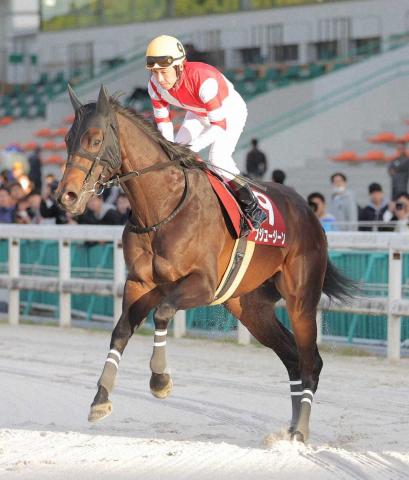 24年度岩手競馬年度代表馬フジユージーンが大井に移籍　10.22大井マイルグランプリへ