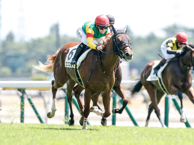 【サウジアラビアRC展望】レース間隔と前走内容を重視、エコロアルバが重賞初制覇へ