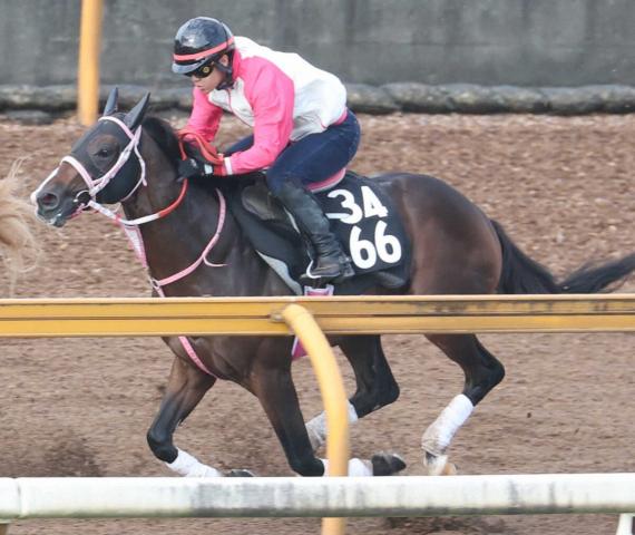 【京都新馬戦】バルセシート　夏越えて成長　偉大な姉レシステンシアの背中追う