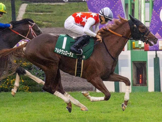 現地購入的中単勝馬券【2006 年シンガポール航空国際カップ】コスモバルク 道営競馬のエース、コスモバルクがついに完全引退へ - GIGAZINE