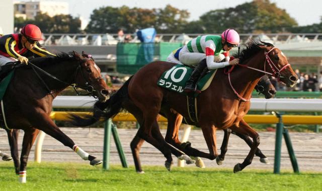 重賞2勝ラヴェル引退　繋じん帯に炎症