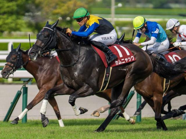【秋華賞】樫との2冠達成なら2年連続6頭目 カムニャックが女王防衛なるか