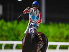 ダート三冠がかかるナチュラルライズ(撮影：高橋正和)