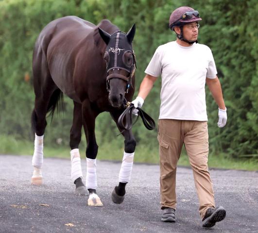 【注目馬動向】ナムラクレアは来年の高松宮記念がラストラン　阪神Cから直行予定