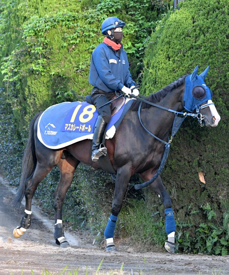 ダービー２着馬マスカレードボールが天皇賞・秋でルメールと新コンビ
