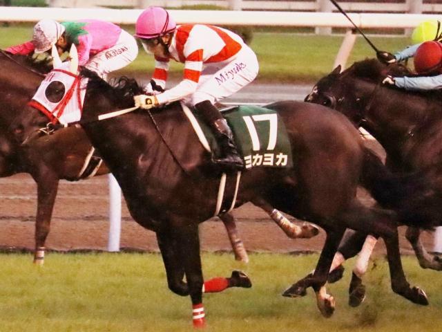 熊本産初のJRA重賞勝ち馬ヨカヨカの初仔 ヨカオウが待望のデビュー戦だ