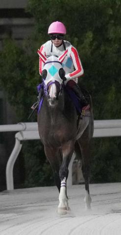 【ジャパンダートクラシック】ナチュラルライズは3冠ならず2着　横山武「成長途上、温かく見守って」