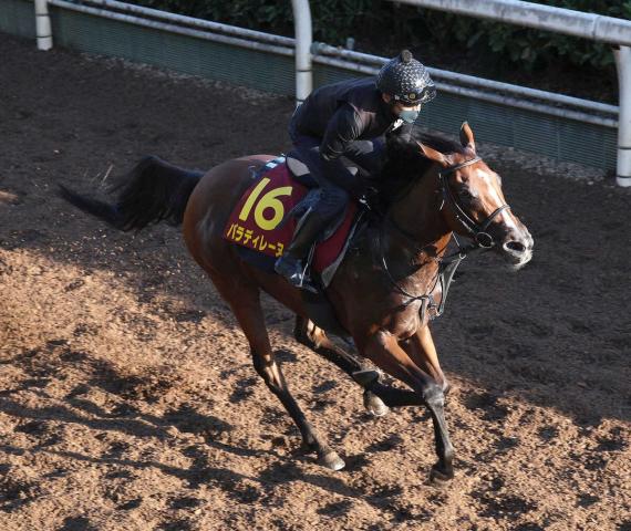 【秋華賞1週前追い】パラディレーヌ　馬なり4F53秒4の好時計　陣営も順調ぶり強調