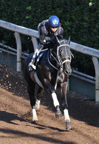 【サウジアラビアRC】チュウワカーネギー　豪快にひと伸び1F12秒3　北村友は期待「予定通り」