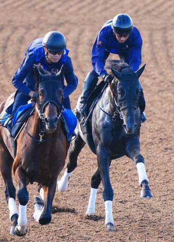 【サウジアラビアRC】ゾロアストロ　予定通りの調整　宮田師も納得「スムーズに加速できた」