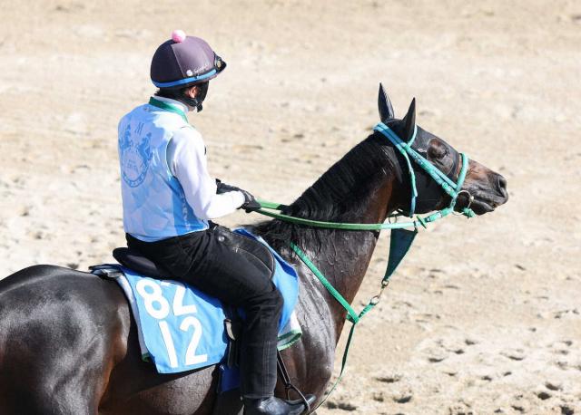 【スワンS】良血ワールズエンド　2度目の挑戦で重賞V燃える　池添師「1400の方がレースしやすい」
