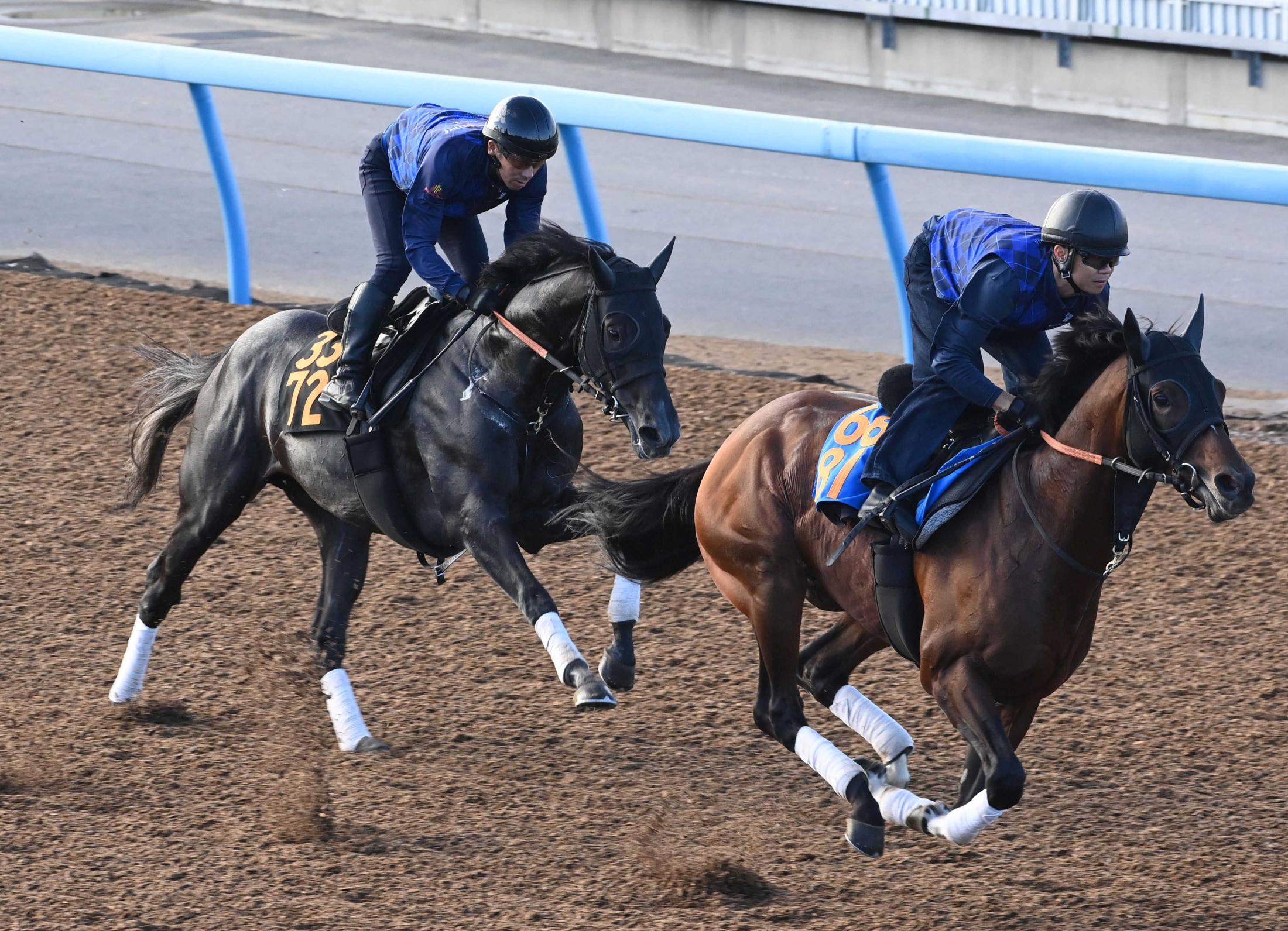 【サウジアラビアＲＣ】モーリス産駒ゾロアストロ　完成度高い　宮田師も合格点「本当に魅力を感じている」