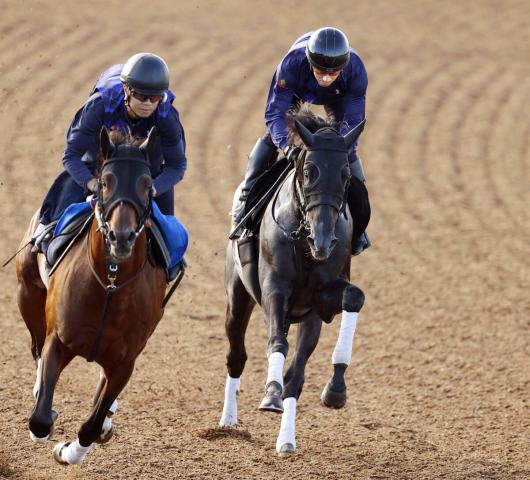 【サウジアラビアRC】ゾロアストロが初タイトルへ格上相手に楽々併入　宮田調教師「素晴らしい走り」