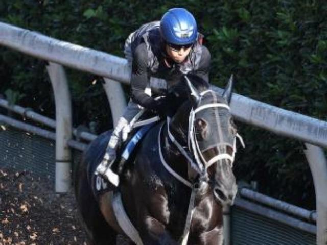 【サウジアラビアRC】チュウワカーネギー　豪快にひと伸び1F12秒3　北村友は期待「予定通り」