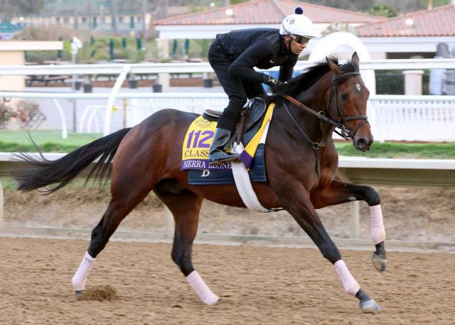 フォーエバーヤングを破ったシエラレオーネはBCクラシック後に引退し種牡馬入りへ