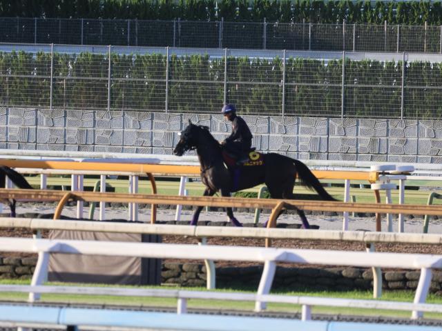 カムニャック、秋華賞1週前追い切り速報/栗東トレセンニュース