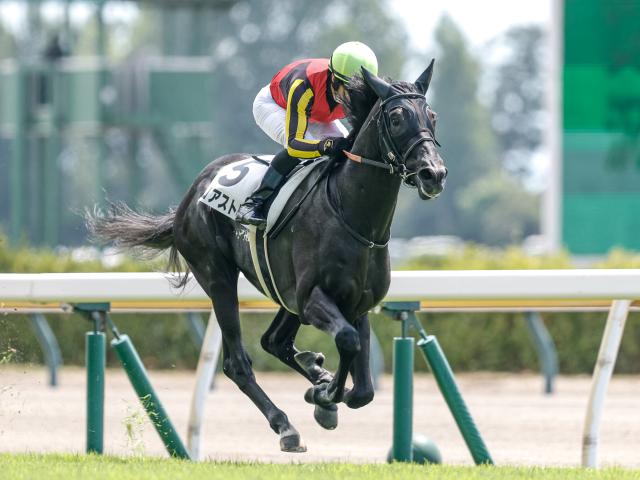 【サウジアラビアRC出走馬・騎手確定】ゾロアストロ＆C.ルメール騎手、アスクエジンバラ＆岩田康誠騎手など8頭