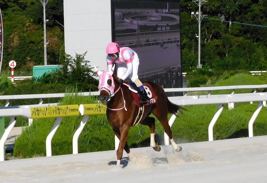 【地方競馬】園田オータムＴ　オケマルが兵庫初の無敗３冠　下原理も絶賛「強過ぎた」
