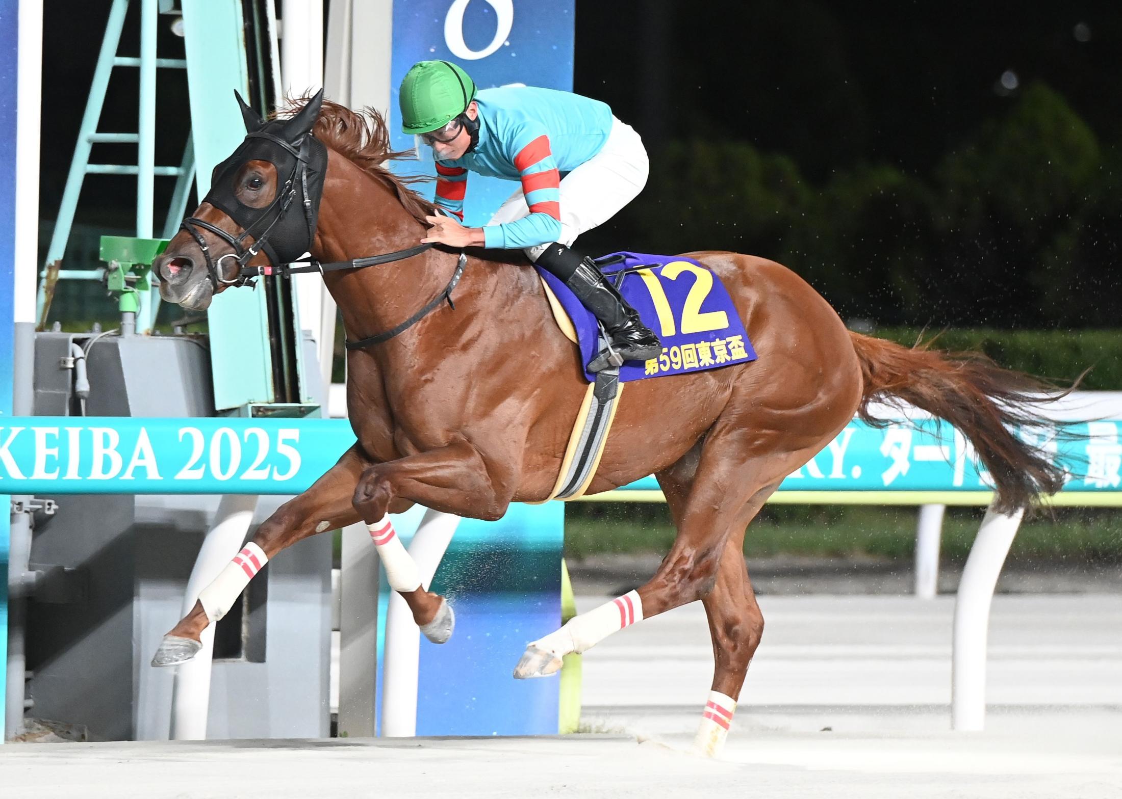 【地方競馬】東京盃　唯一の３歳馬のヤマニンチェルキが直線で抜け出し交流重賞３連勝