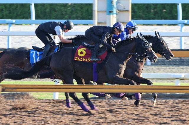 【秋華賞1週前追い】カムニャック　内からひと伸び　陣営「非常にいい追い切り」