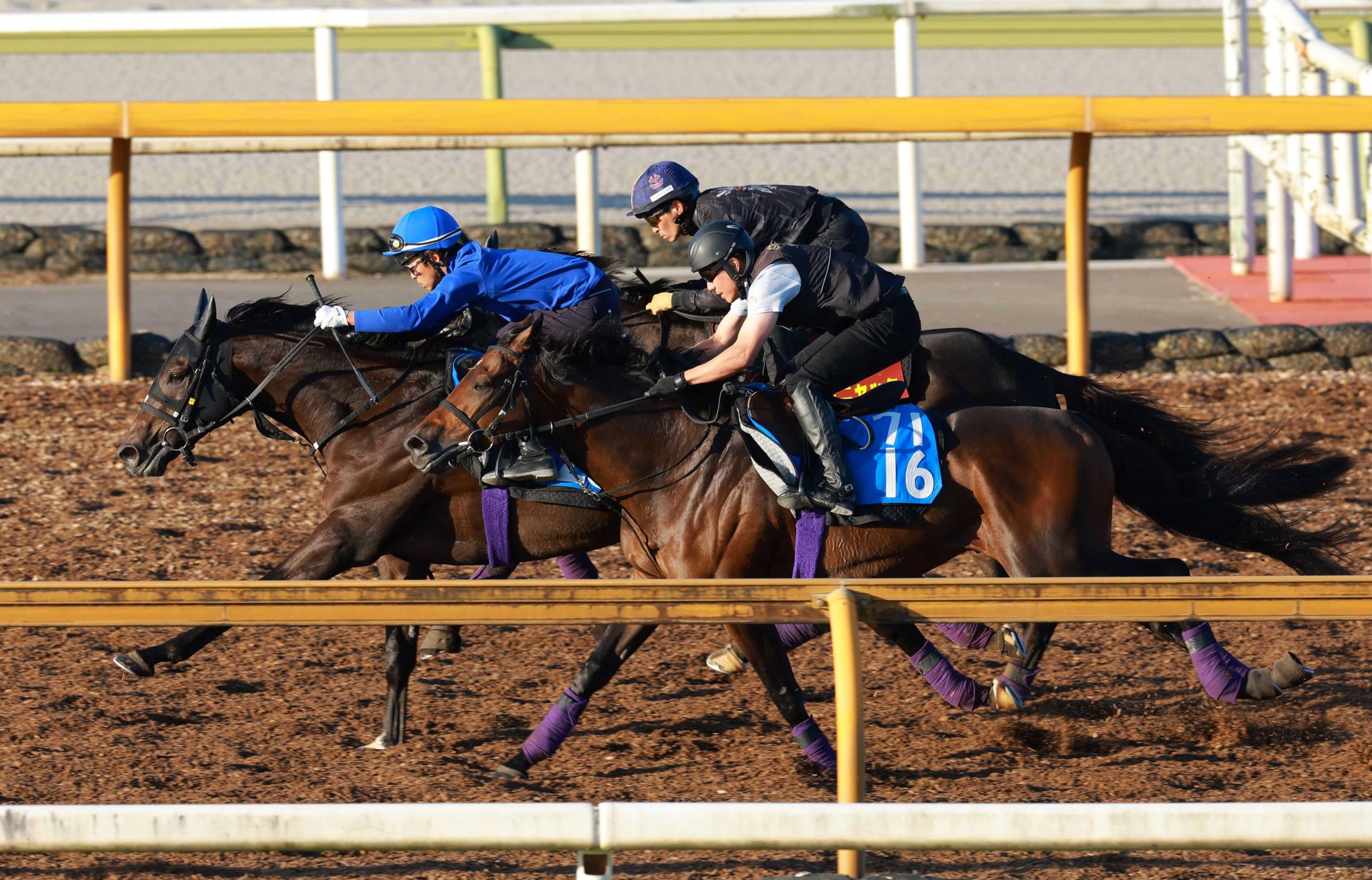 【秋華賞】オークス馬カムニャック　２冠へ視界良好　友道師も納得「前走からの上積み感じる」