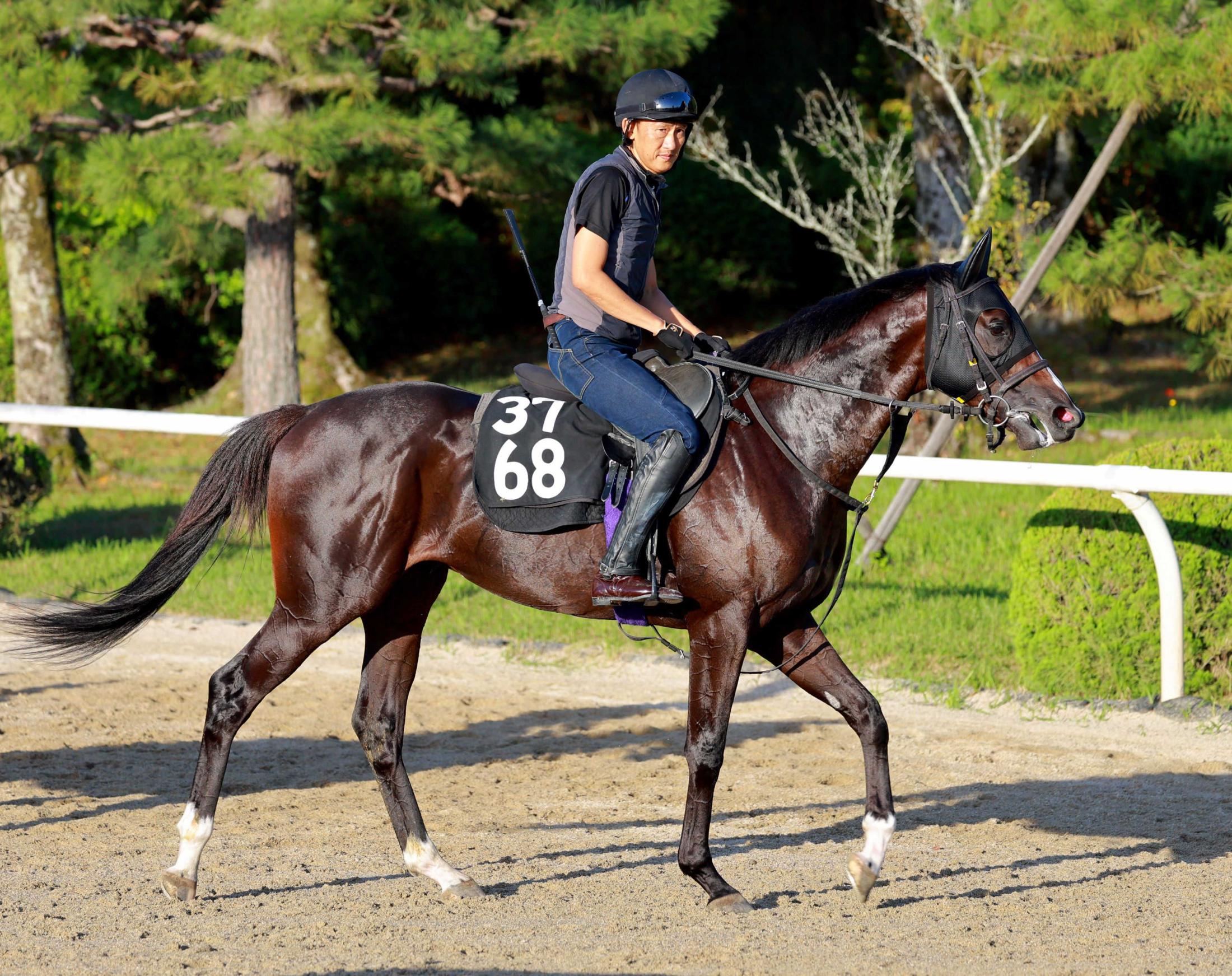 【新馬戦】ワンダフルボンド１２日阪神５Ｒで初陣Ｖに照準　半兄はサトノシュトラーセ　友道師「芝の中距離が良さそう」