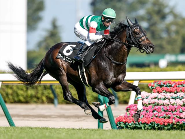 【スワンS予想】コース適性がポイントに 秋のマイル王を狙う実力馬が集結