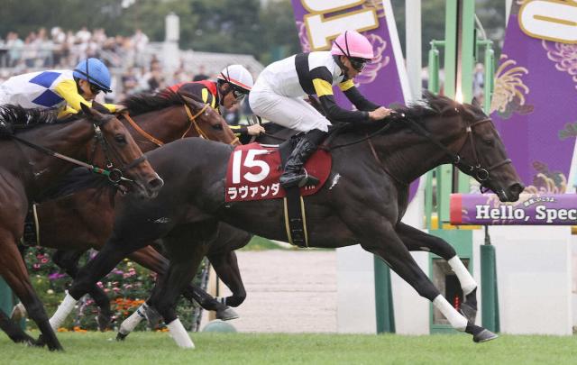 【アイルランドT】ラヴァンダが“初代女王”に　“善戦ホース”に終止符　岩田望「G1でも通用」