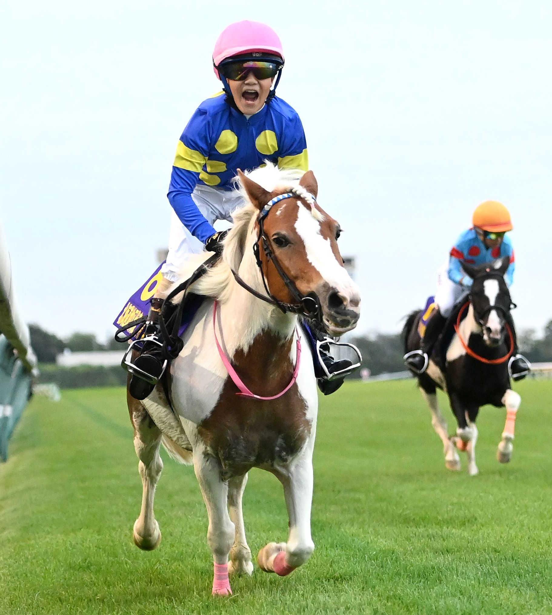 ジョッキーベイビーズ　八嶋駿吏君が外ラチ沿い末脚一蹴Ｖ　祖父の馬主・宗像義正さんと同じ勝負服で笑顔