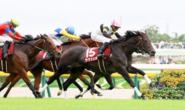 【アイルランドT】4番人気のラヴァンダが初代女王に!8度目の挑戦で悲願の初タイトルをゲット