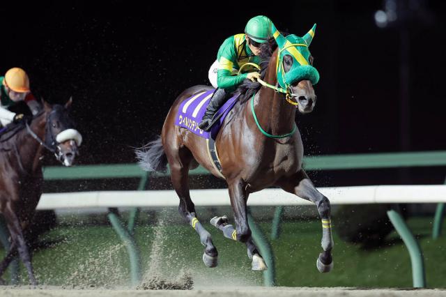 【南部杯】ウィルソンテソーロが圧巻4馬身差でJpn1・2勝目　川田騎手「1600メートルが一番ちょうどいいと常々思っていました」