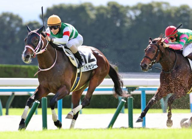 【京都6R・2歳新馬】切れ味が違った!G1馬の半弟バルセシートが初陣V　北村友騎手「直線でスイッチがオンに入ってくれた」