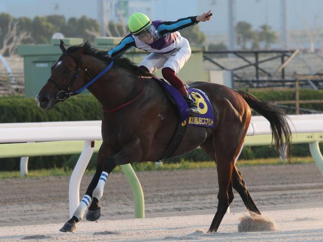 【地方競馬】２２、２３年ＮＡＲ年度代表馬のイグナイターが引退