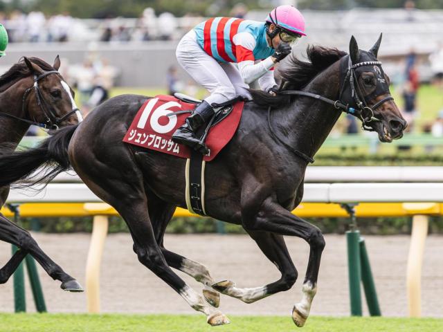 6歳以上は過去10年で苦戦傾向 富士Sは4歳馬に注目