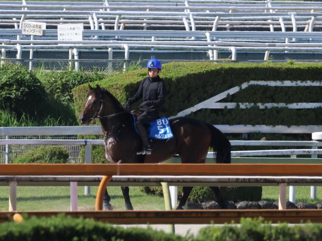 ラムジェットなど、先週の入厩情報/栗東トレセンニュース