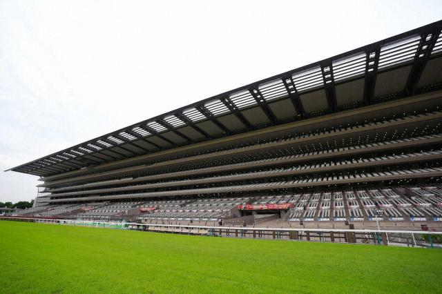 24年ケンタッキーダービー馬ミスティックダンがジャパンCとチャンピオンズCに予備登録　JRA発表
