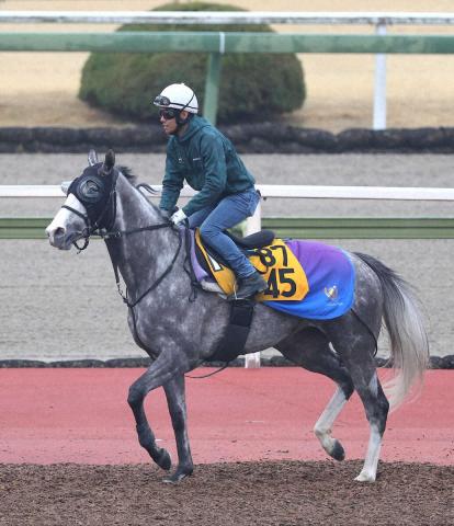 【豪コーフィールドC】ゴールデンスナップは大外18番枠　田中克師「ジョッキーと作戦を練りたい」