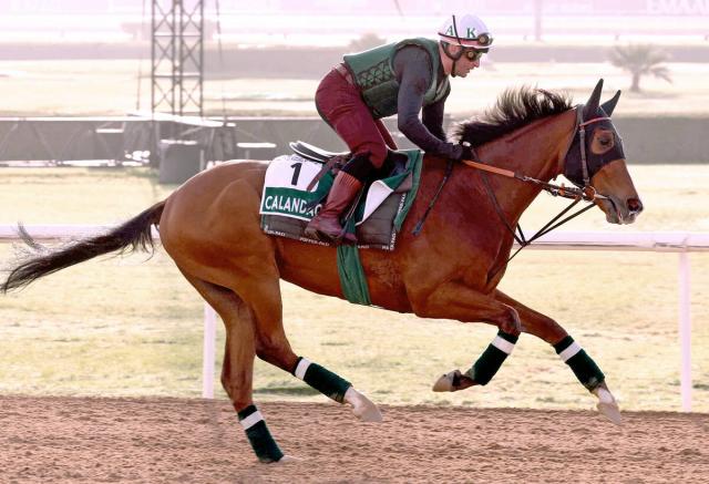 ジャパンCにキングジョージの覇者・カランダガン、ケンタッキーダービー馬・ミスティックダンなどが予備登録